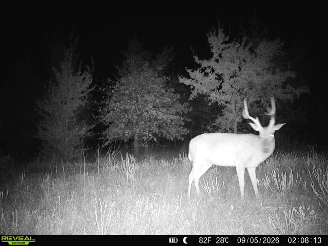 1 E 1110 Road Checotah OK 74426