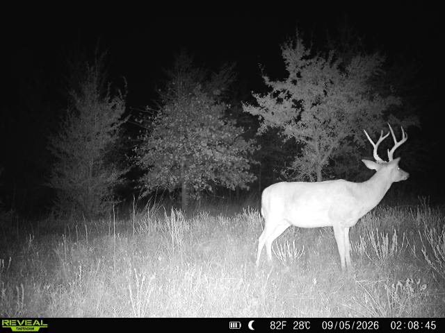 1 E 1110 Road Checotah OK 74426