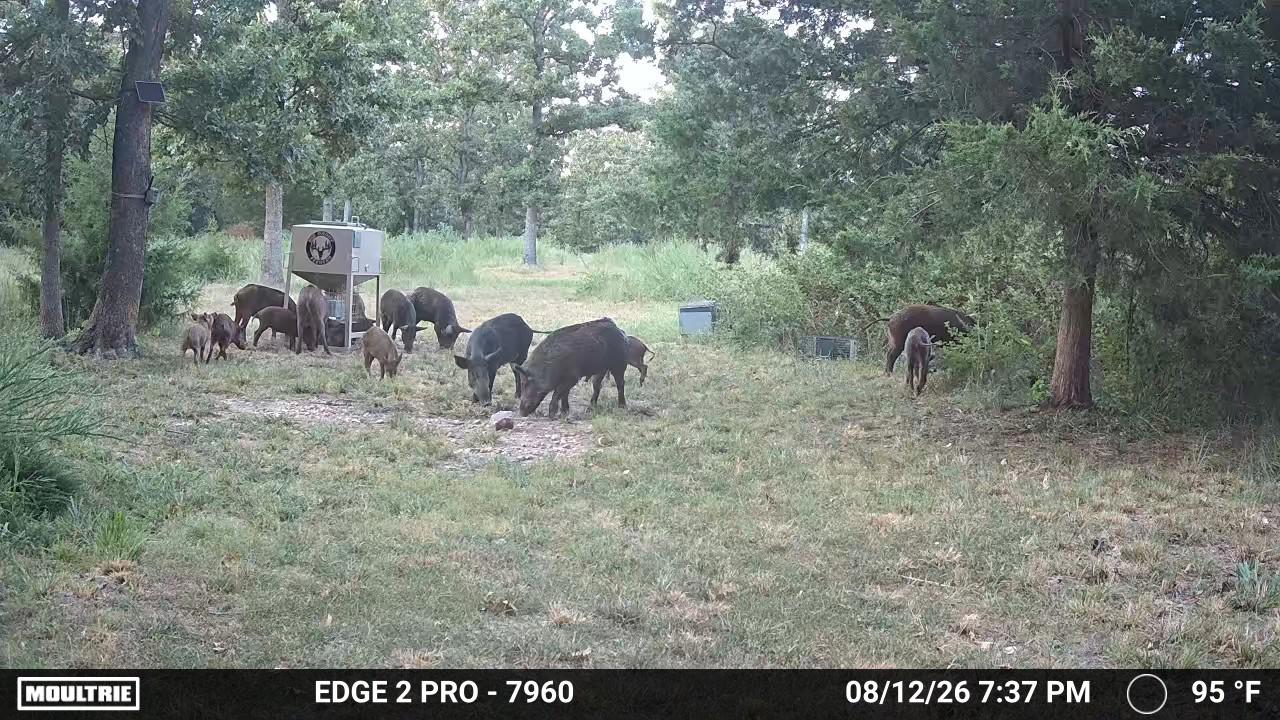 3 N 4450 Road Locust Grove OK 74352