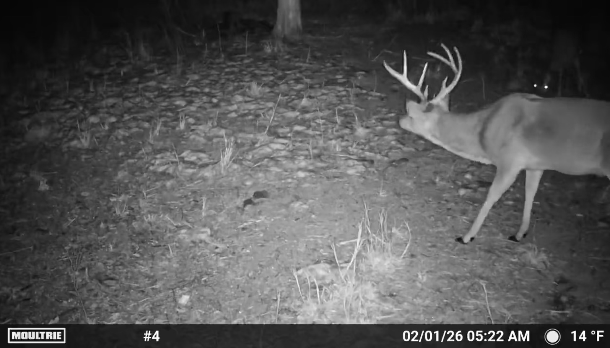 3 N 4450 Road Locust Grove OK 74352