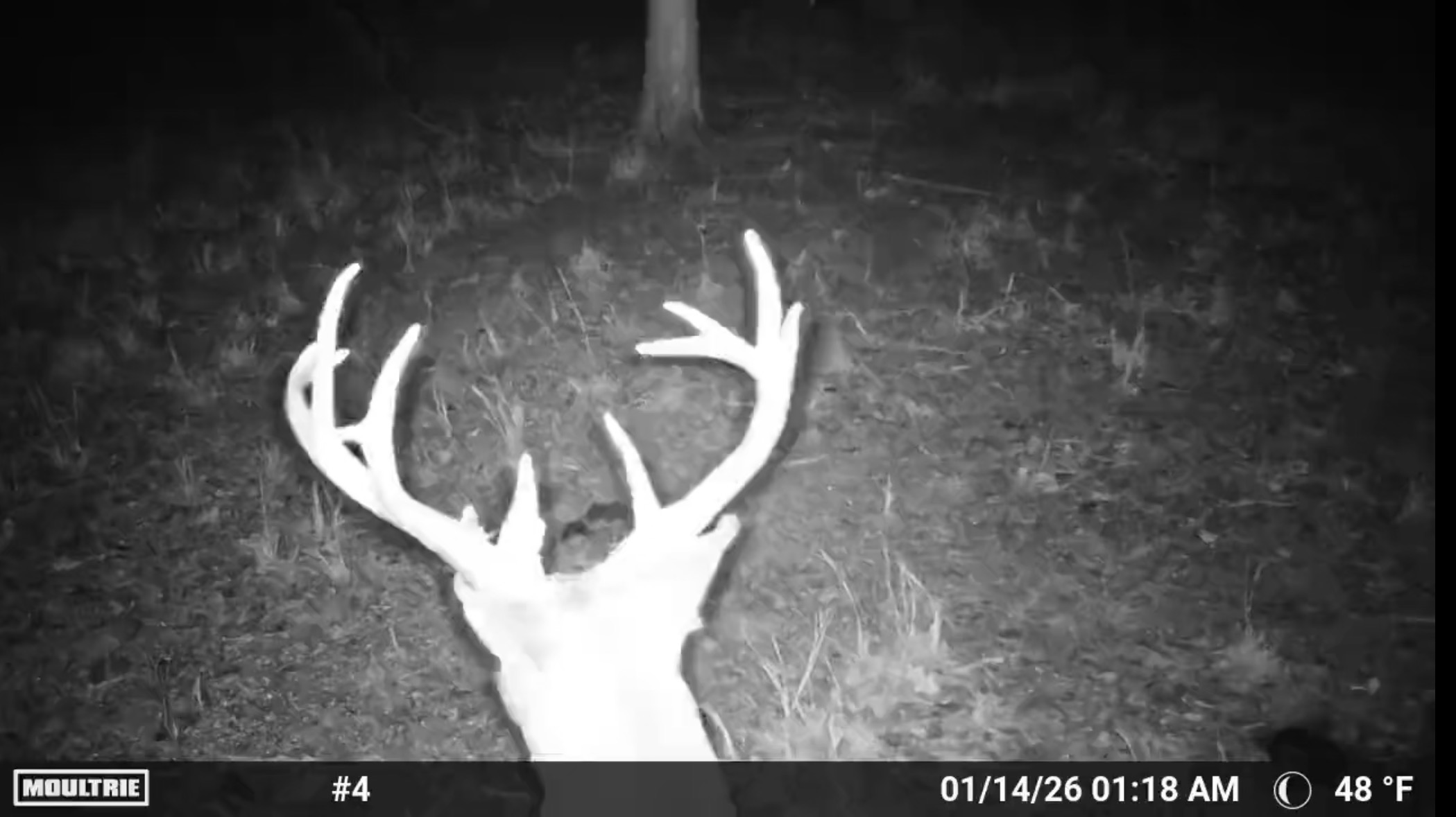 3 N 4450 Road Locust Grove OK 74352