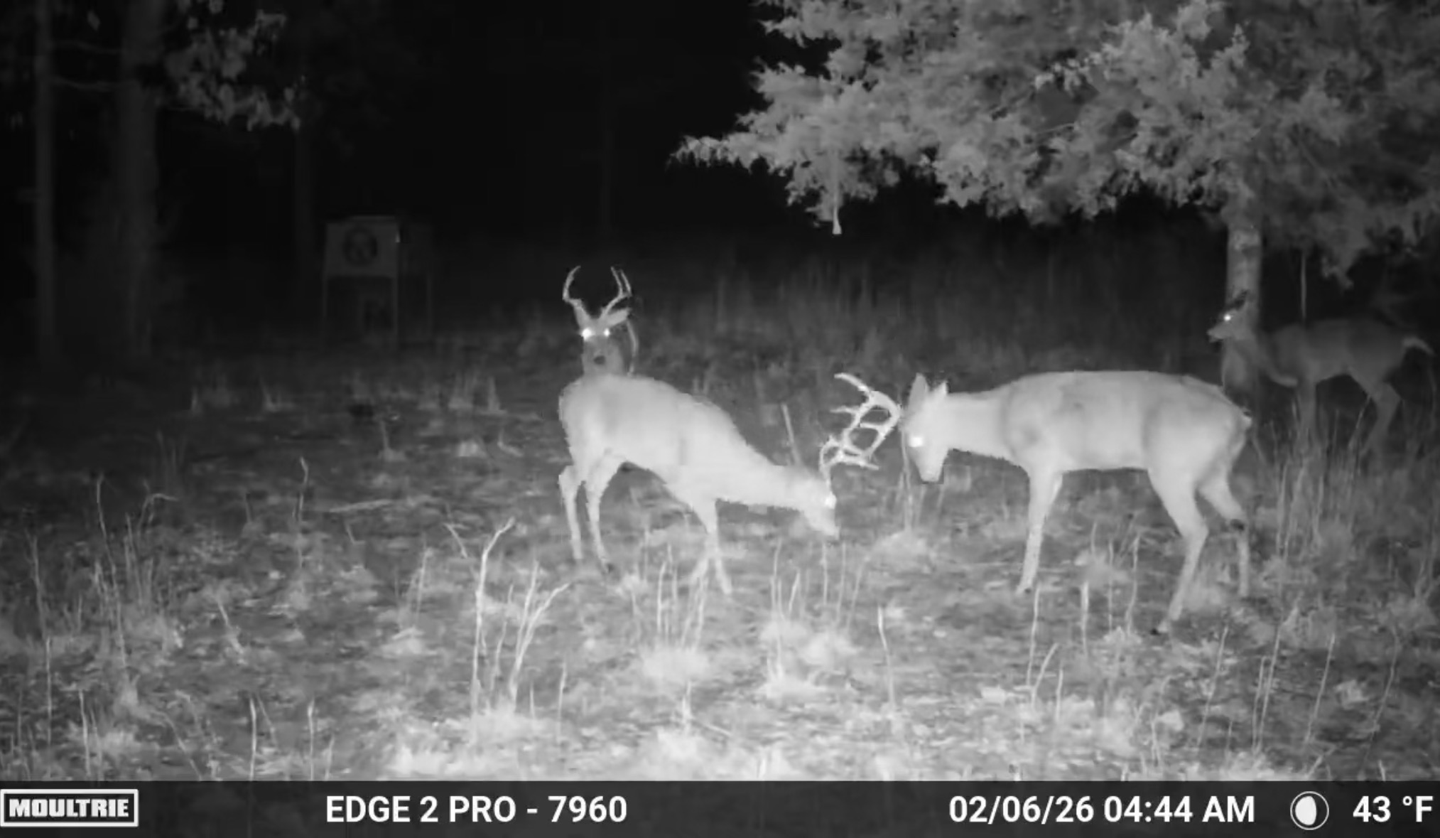 3 N 4450 Road Locust Grove OK 74352