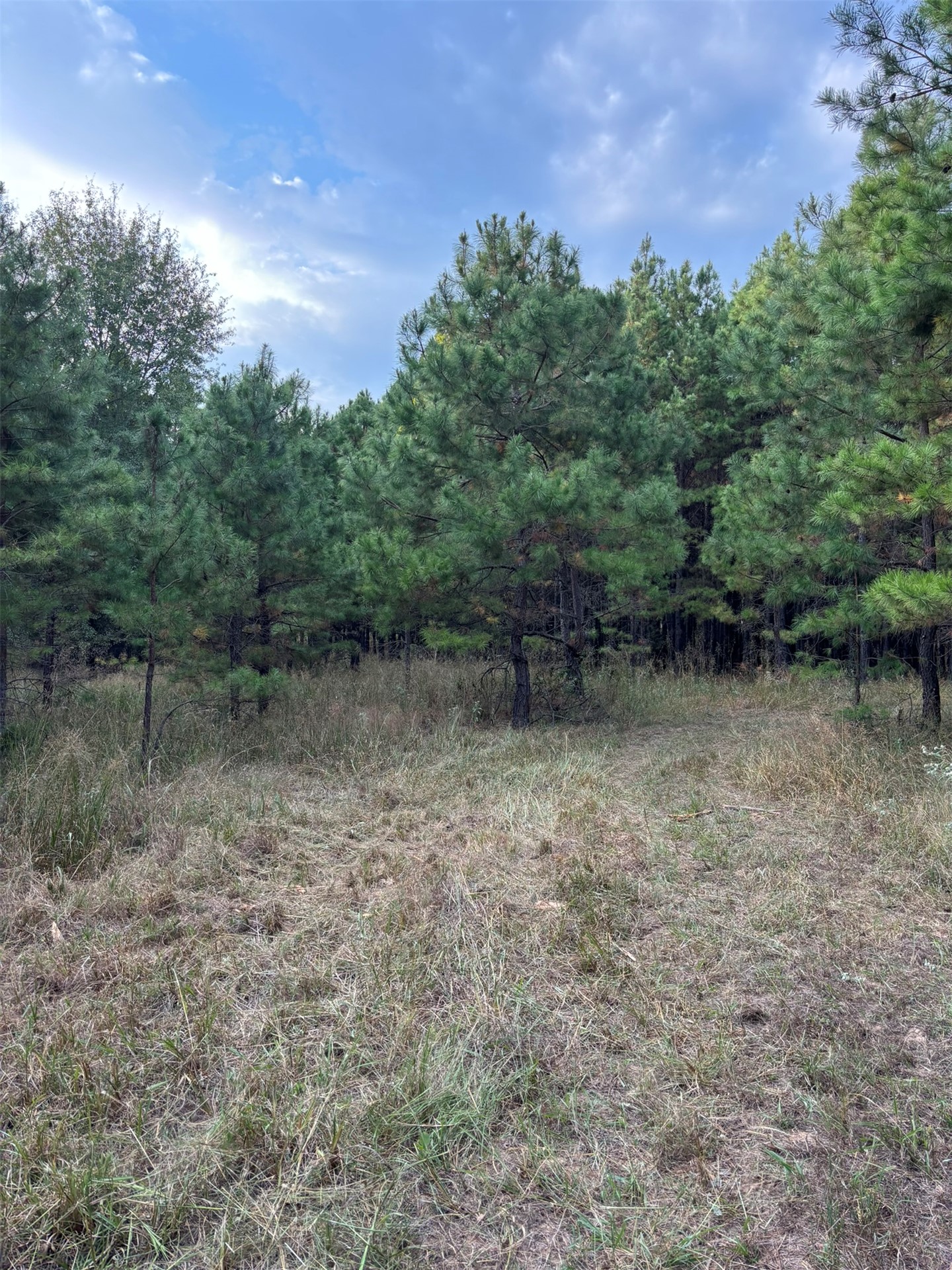 Highway 3 Atoka OK 74525
