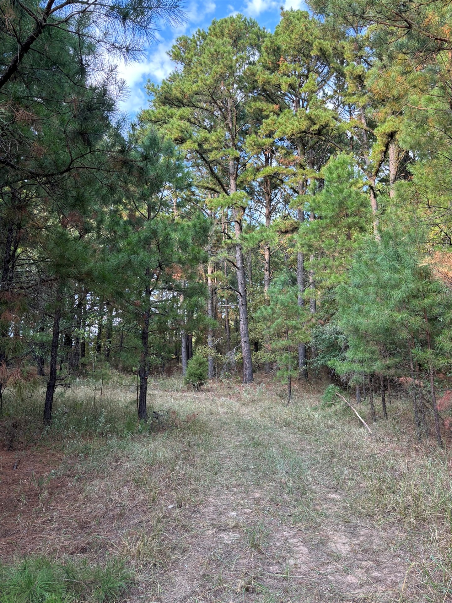 Highway 3 Atoka OK 74525