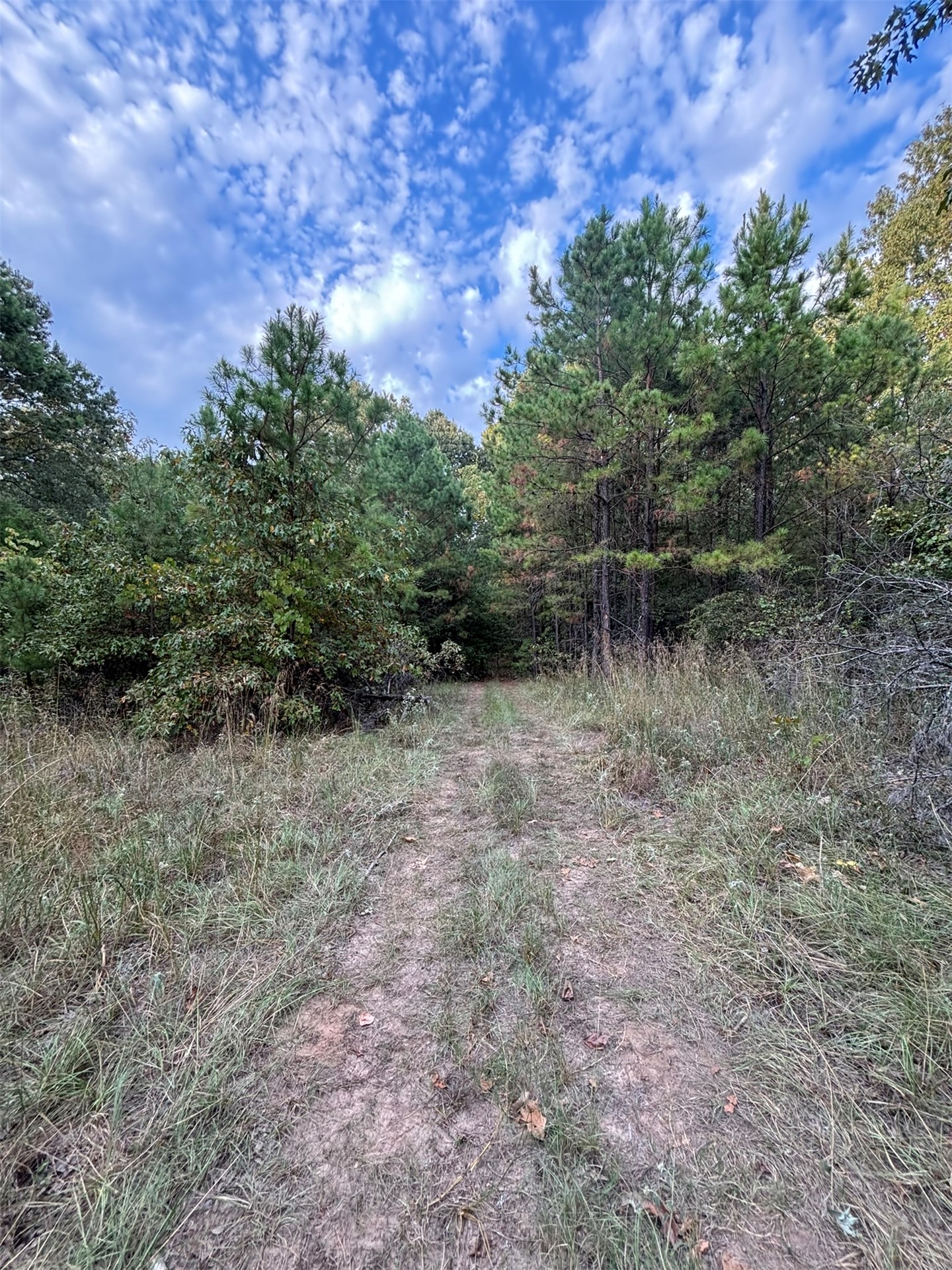 Highway 3 Atoka OK 74525