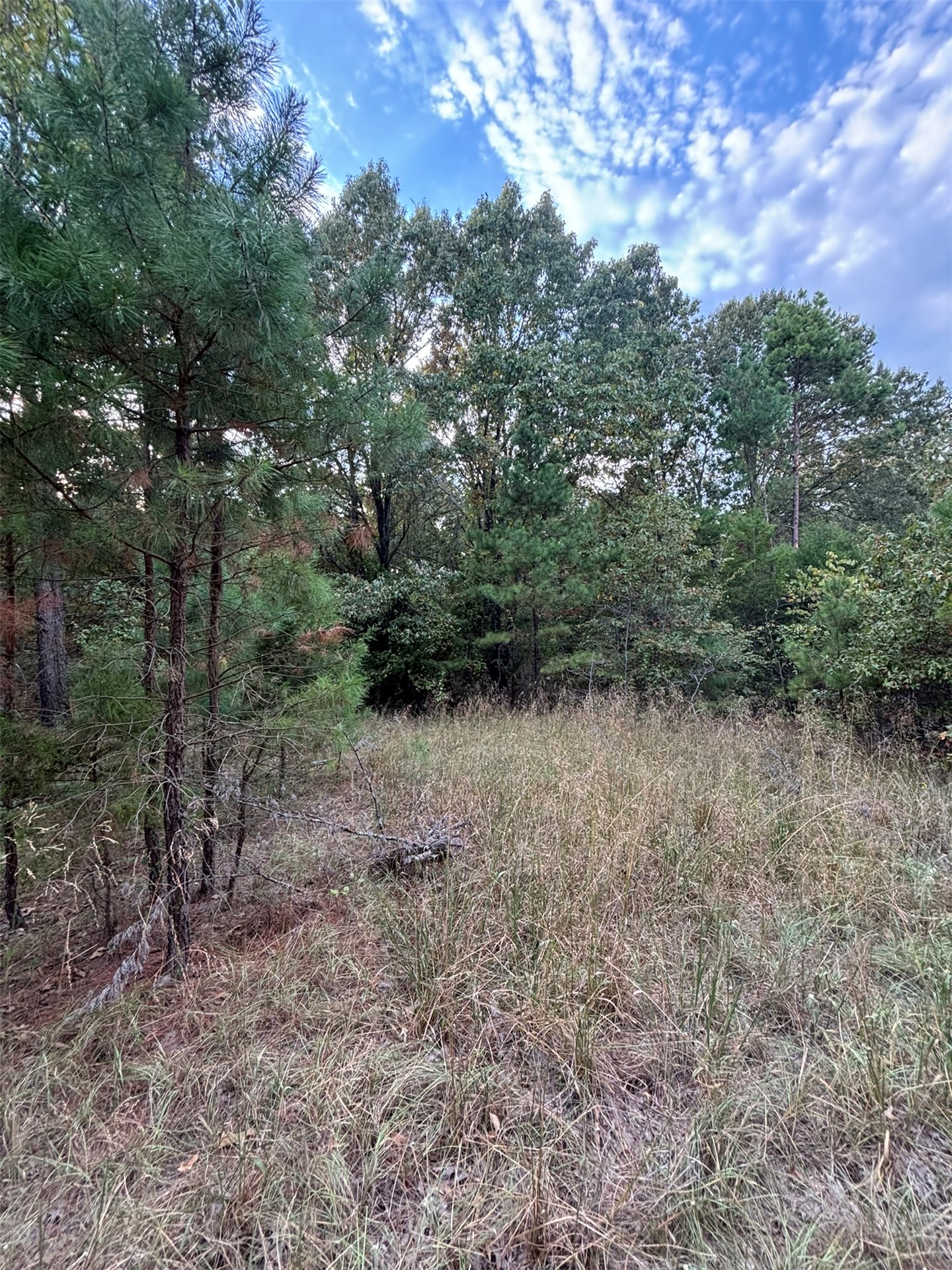 Highway 3 Atoka OK 74525