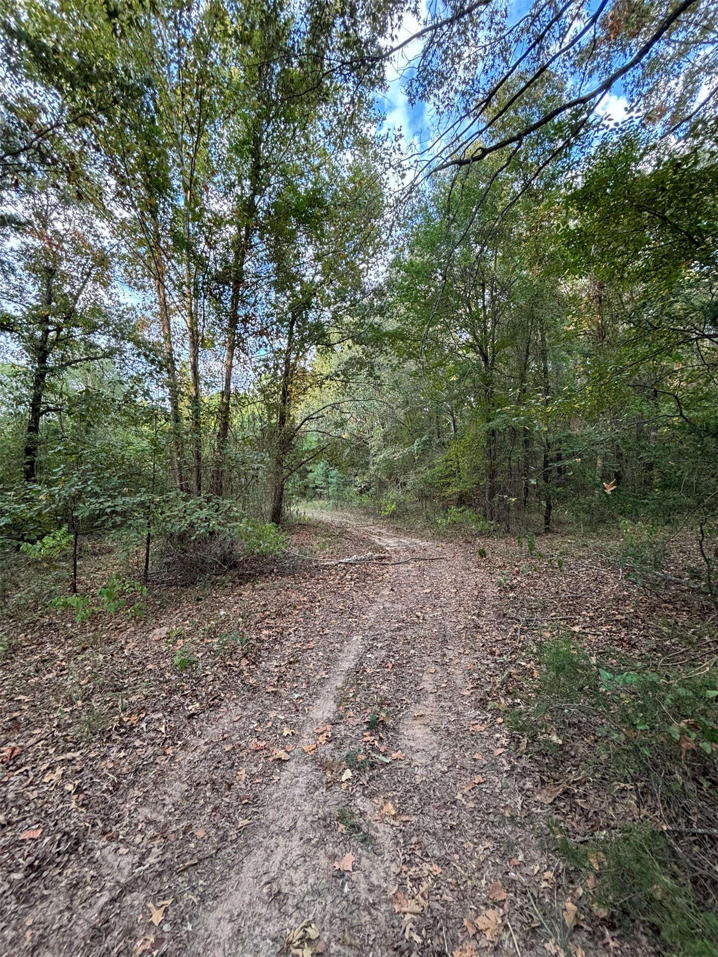 Highway 3 Atoka OK 74525