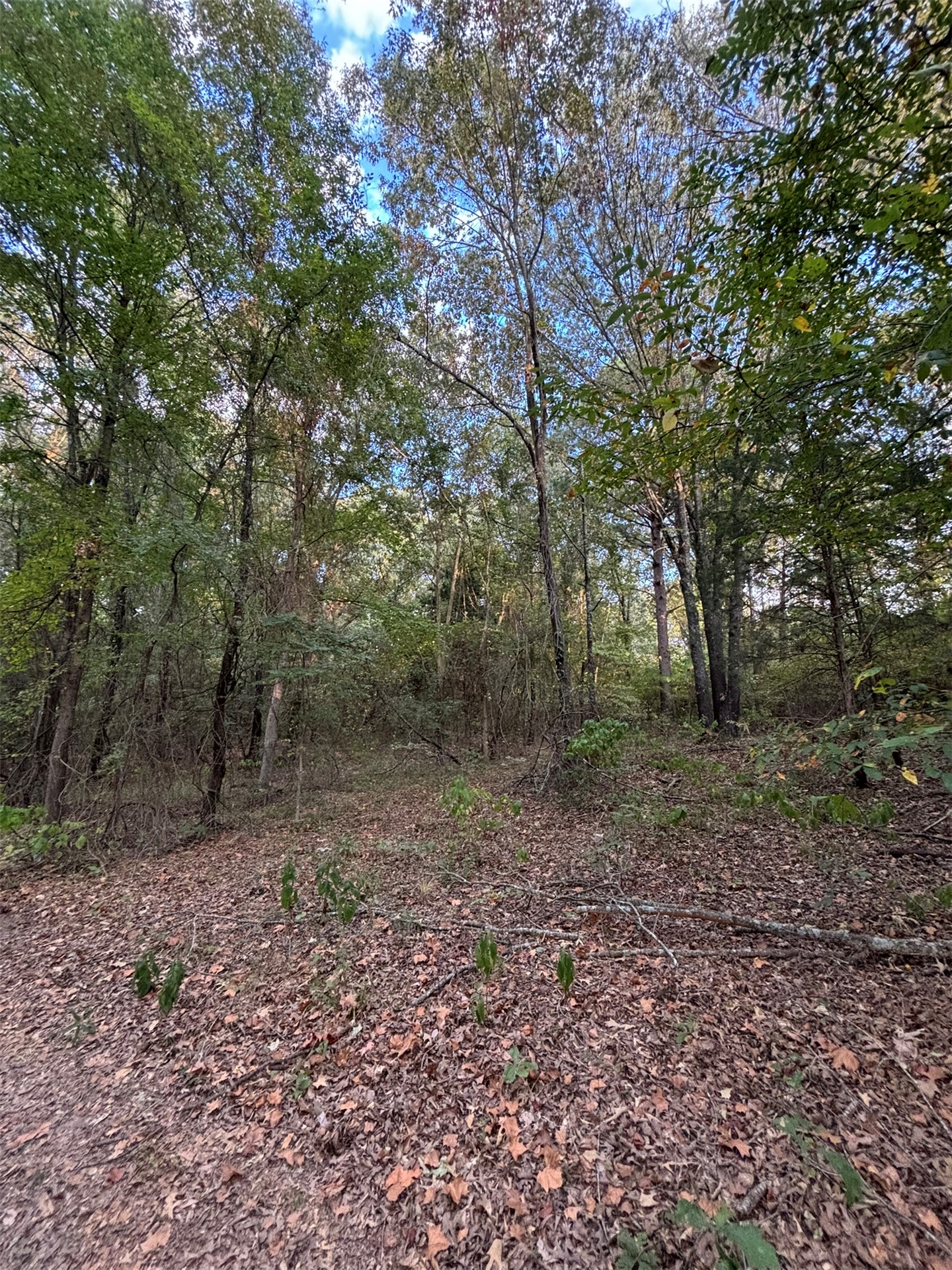 Highway 3 Atoka OK 74525