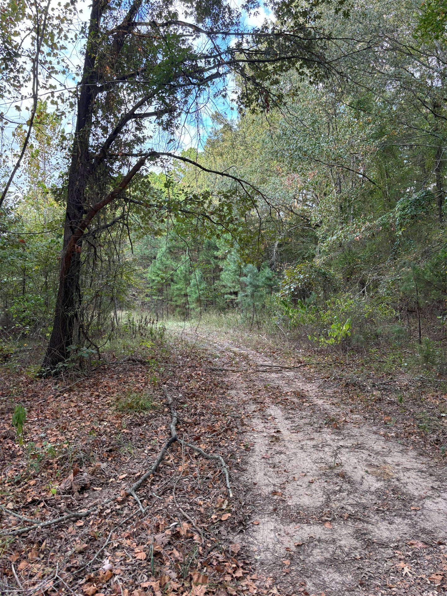 Highway 3 Atoka OK 74525