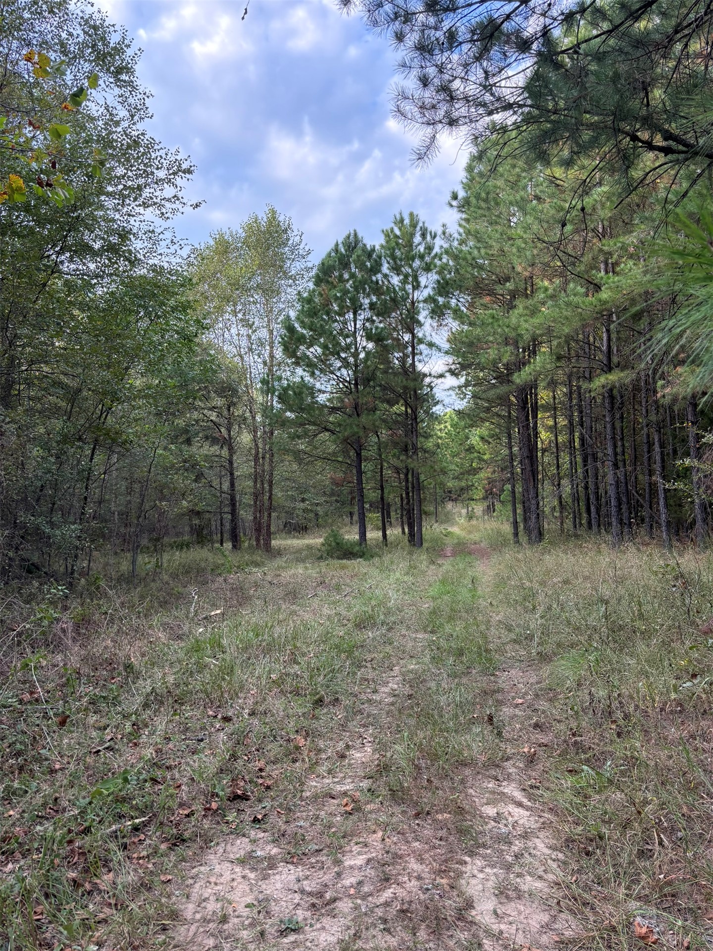 Highway 3 Atoka OK 74525