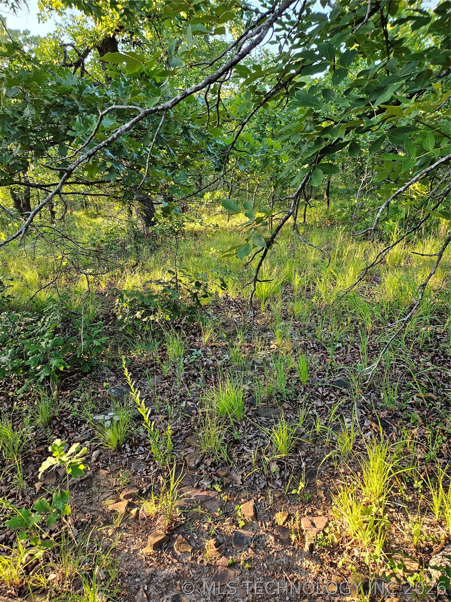 Hickory Lane Stuart OK 74570