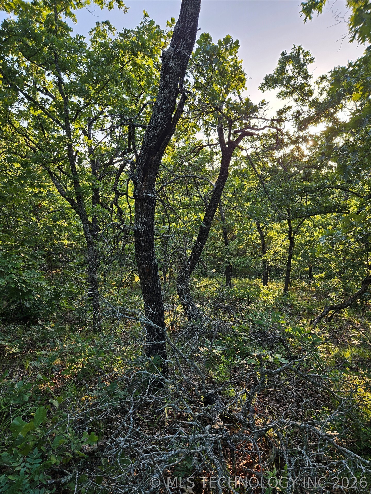 Hickory Lane Stuart OK 74570