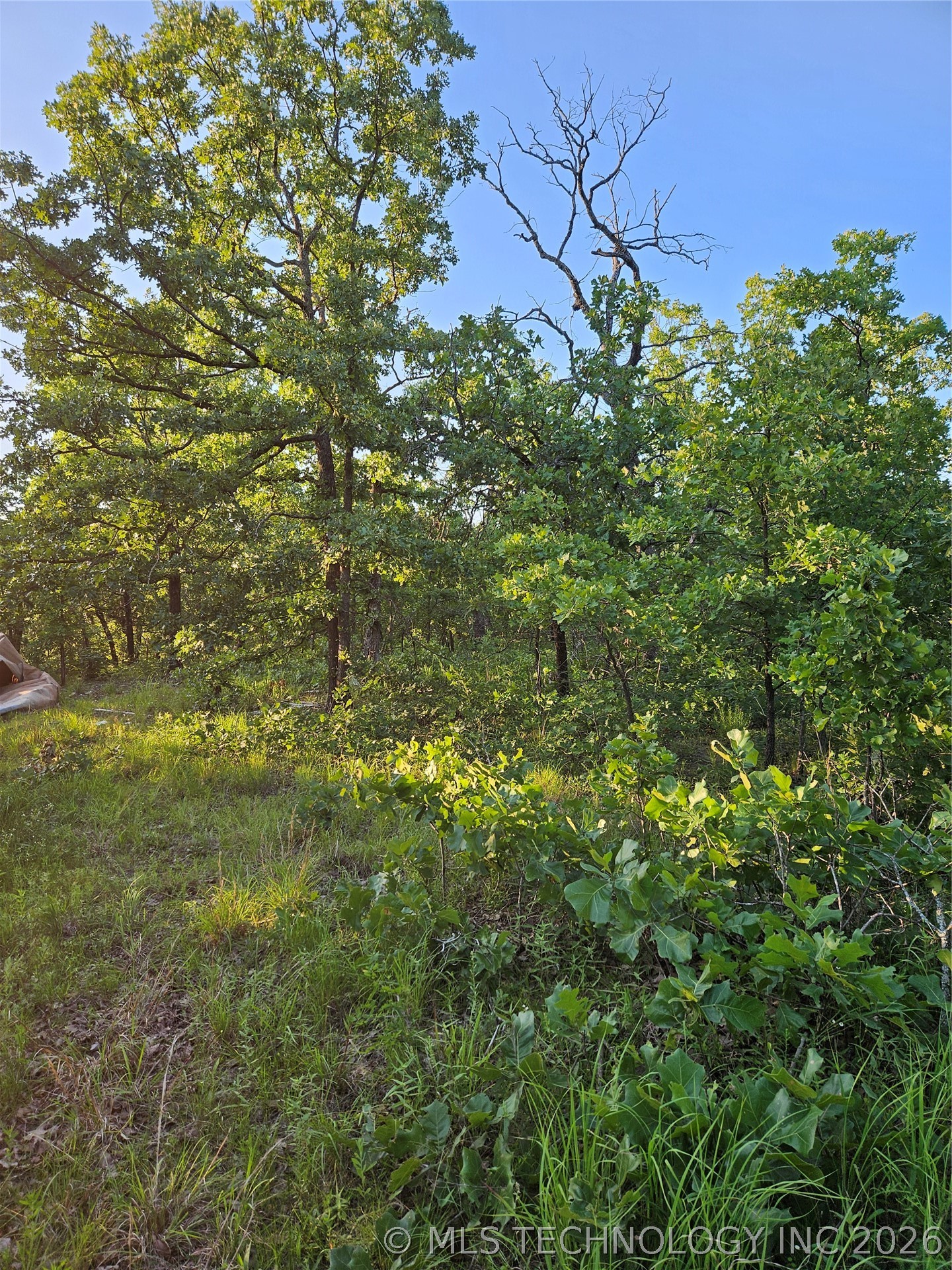 Hickory Lane Stuart OK 74570