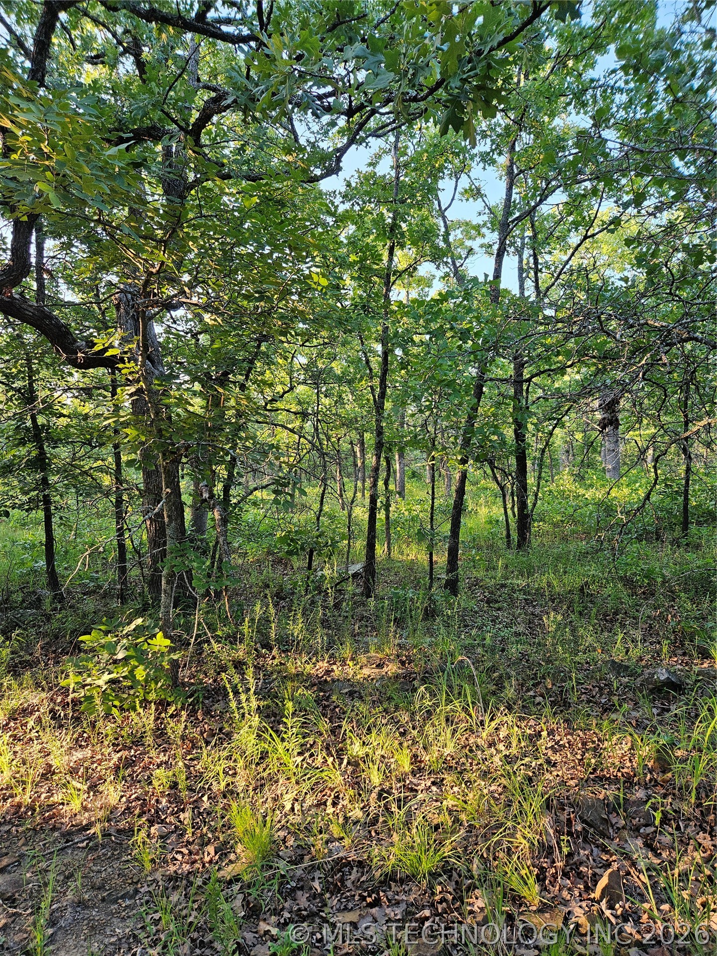 Hickory Lane Stuart OK 74570