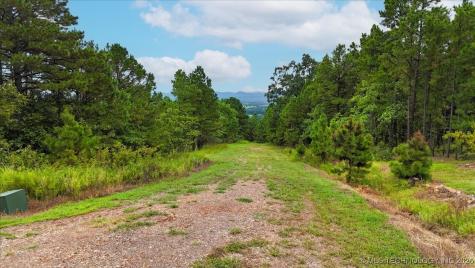 1025 Buffalo Valley OK 74571