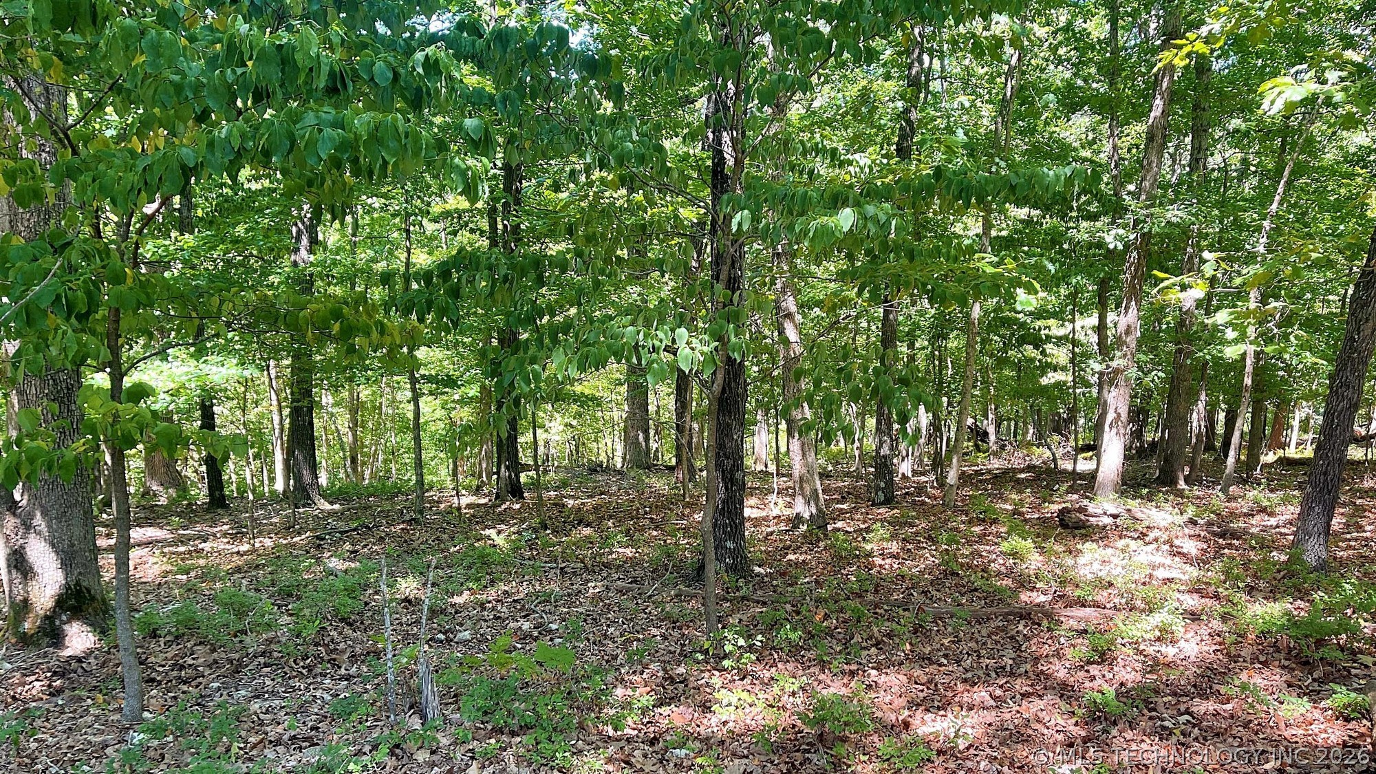 142 Dogwood Circle Kansas OK 74347