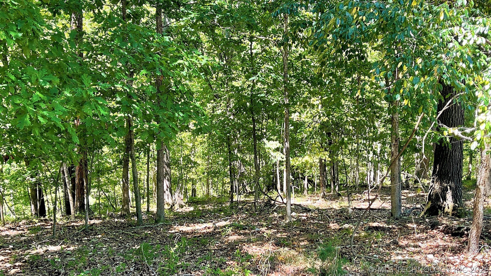 142 Dogwood Circle Kansas OK 74347