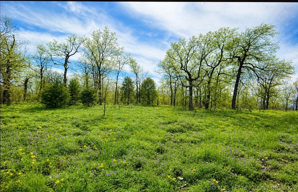 4547 Road Vian OK 74962