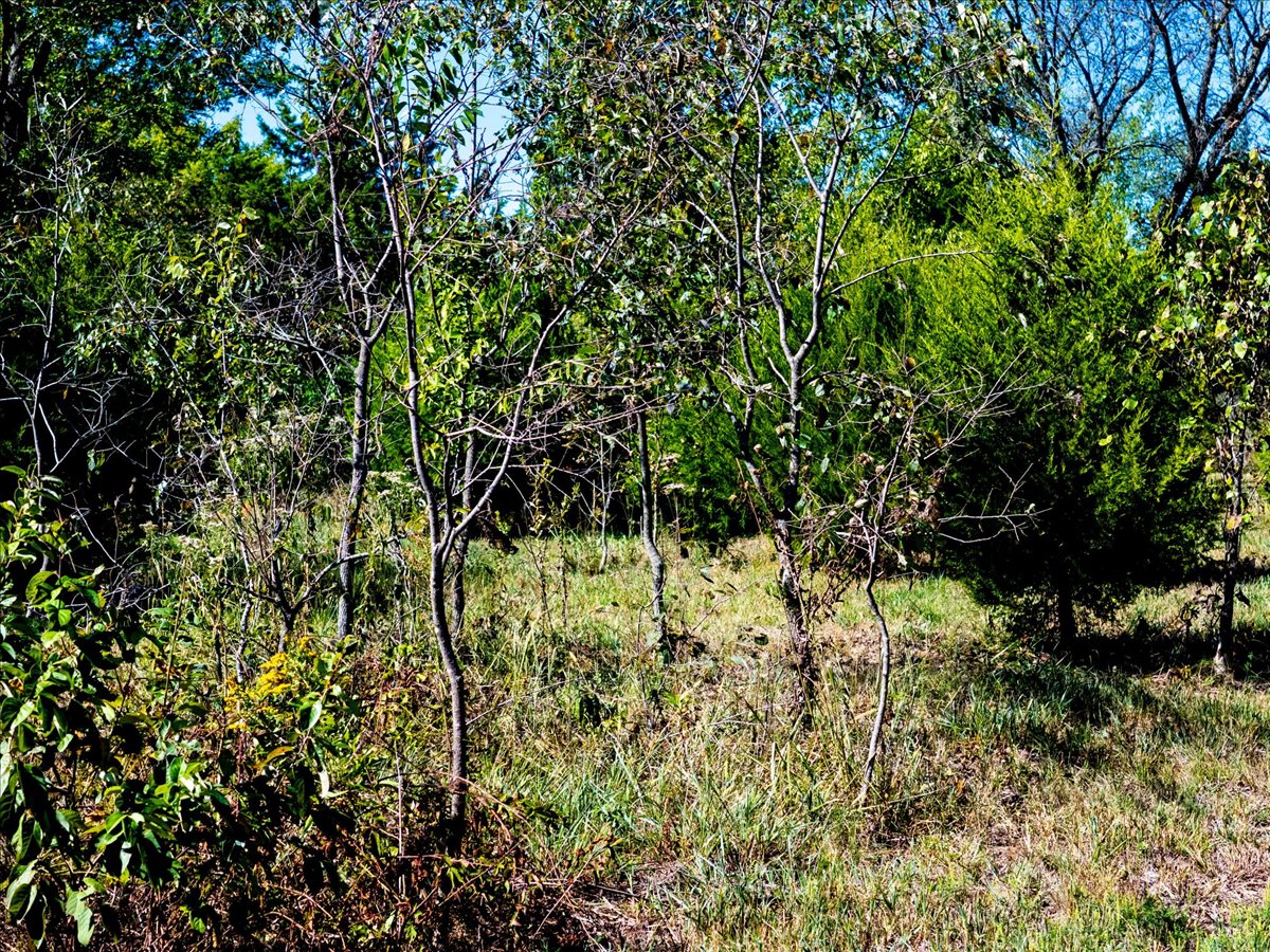 1 N 52 Avenue W Sperry OK 74073