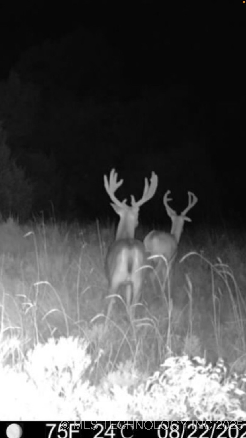 102ND Road Wilburton OK 74578