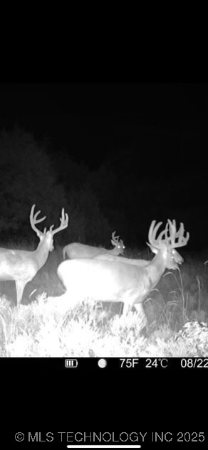 102ND Road Wilburton OK 74578