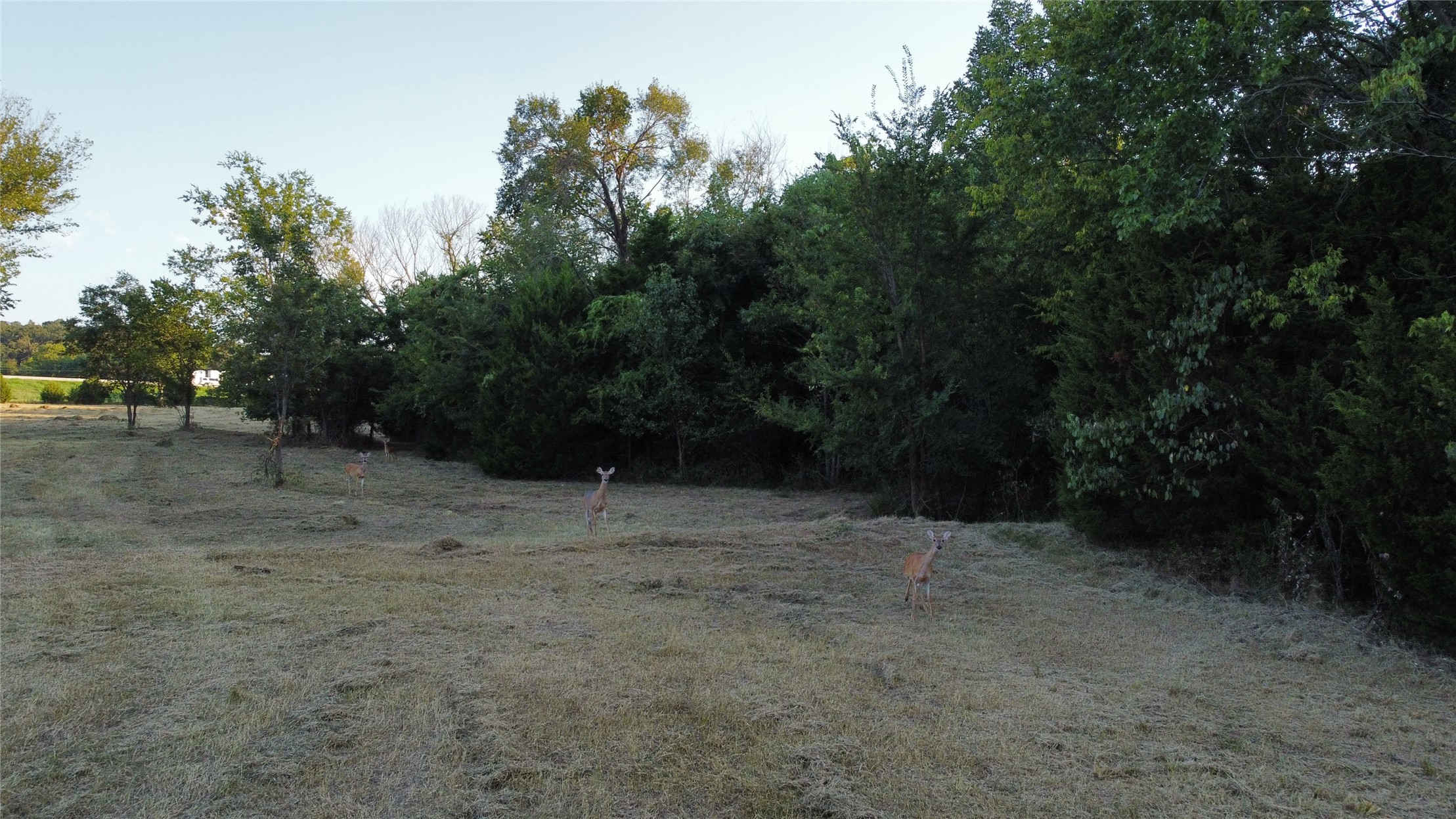 480 Road Claremore OK 74017
