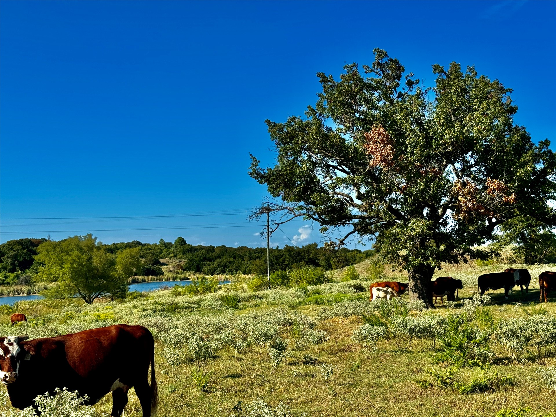 Addington Bend Street Marietta OK 73448