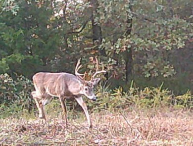 Norris Road Red Oak OK 74563