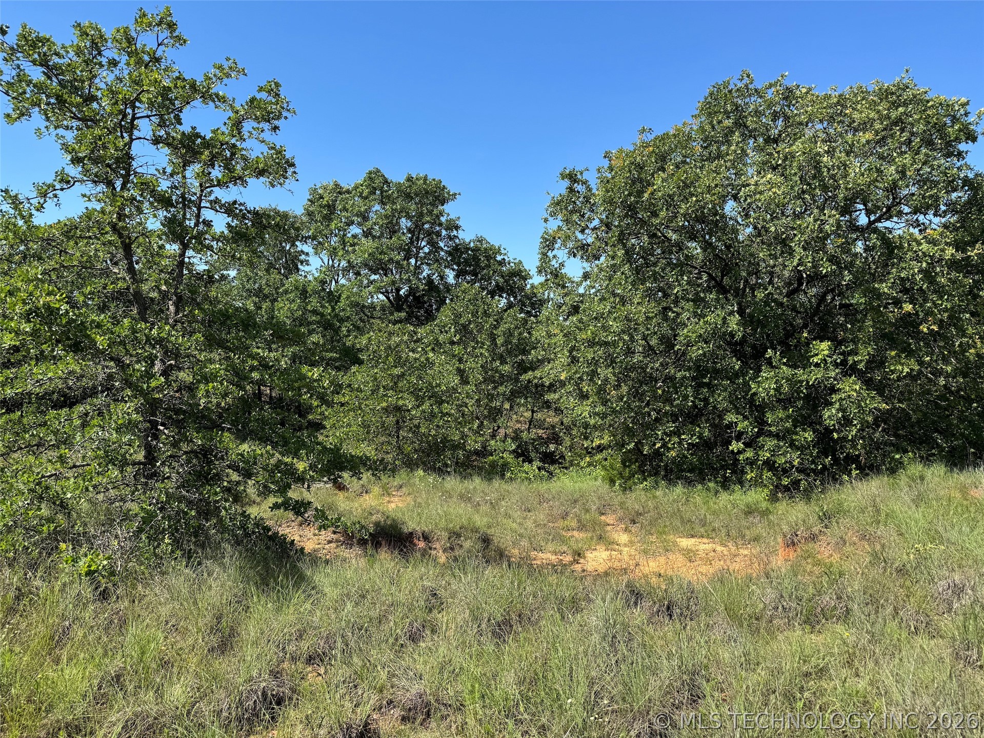 2664 Buck Horn Road Healdton OK 73438