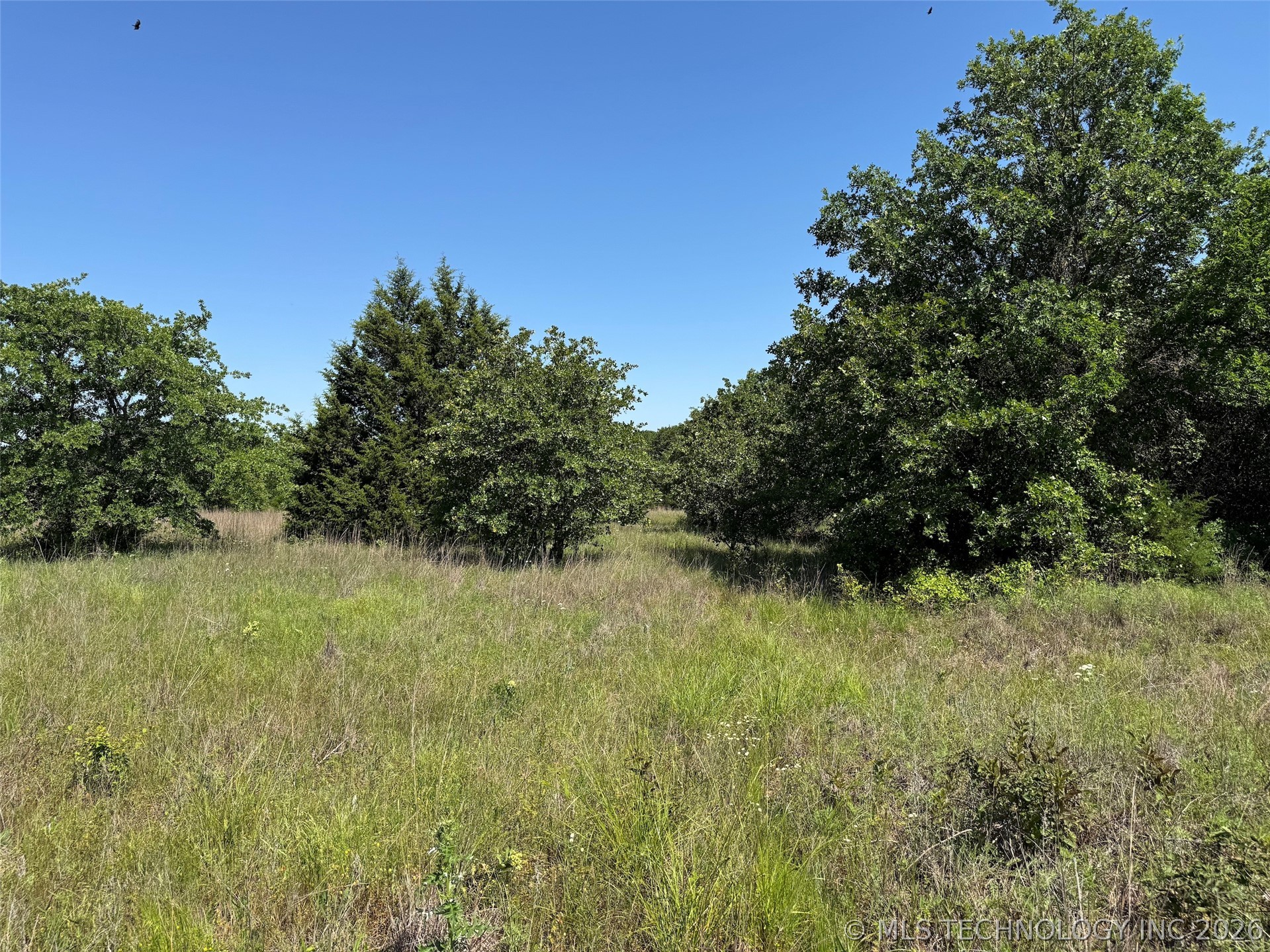 2664 Buck Horn Road Healdton OK 73438