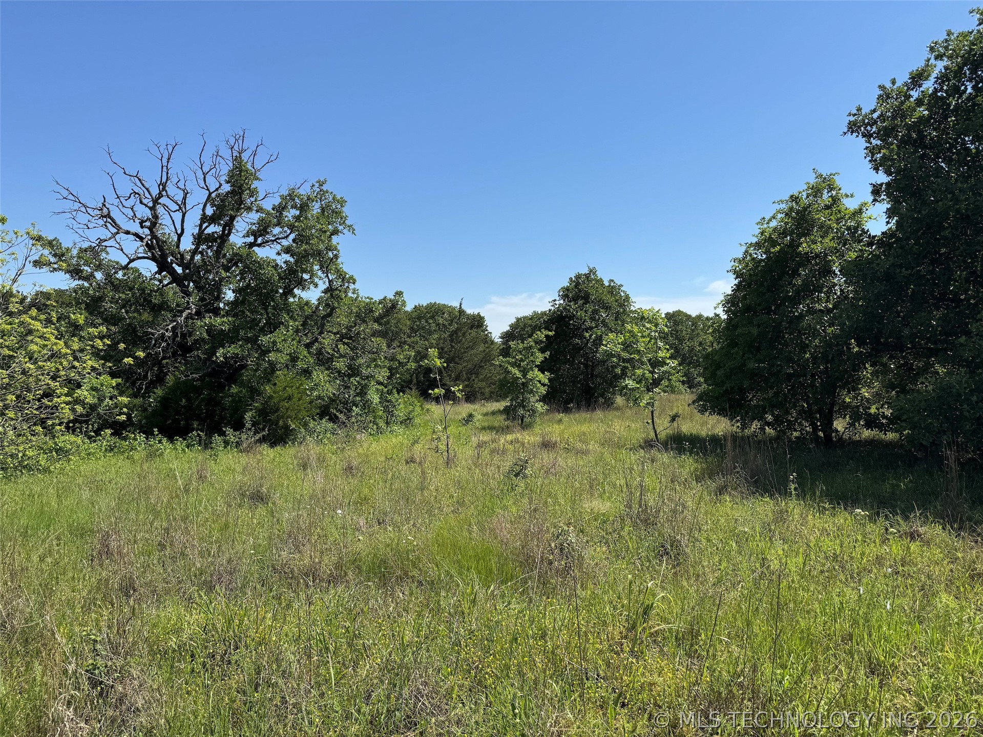 2664 Buck Horn Road Healdton OK 73438
