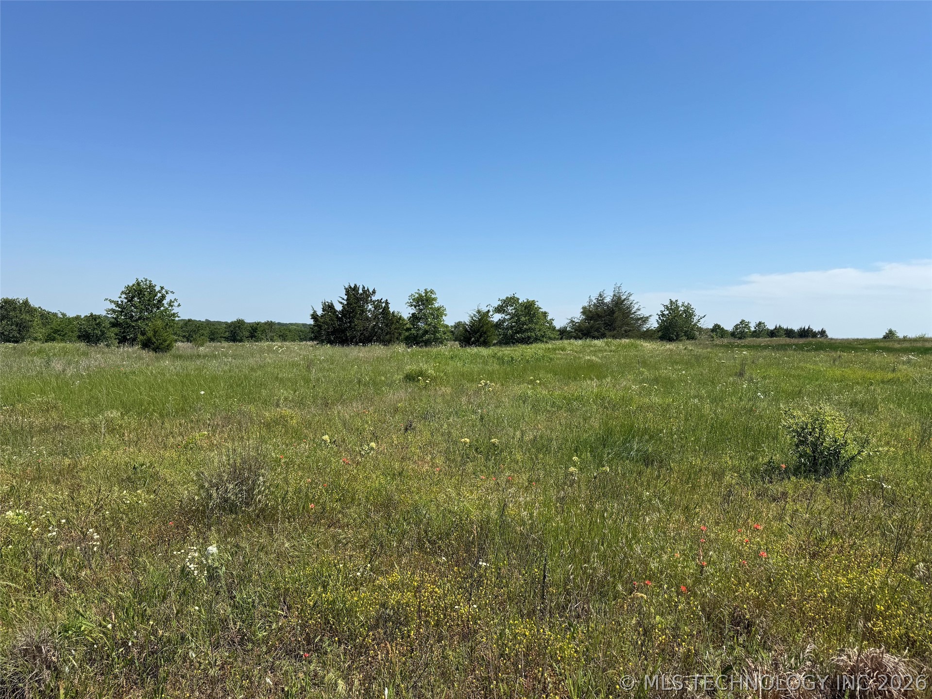2664 Buck Horn Road Healdton OK 73438