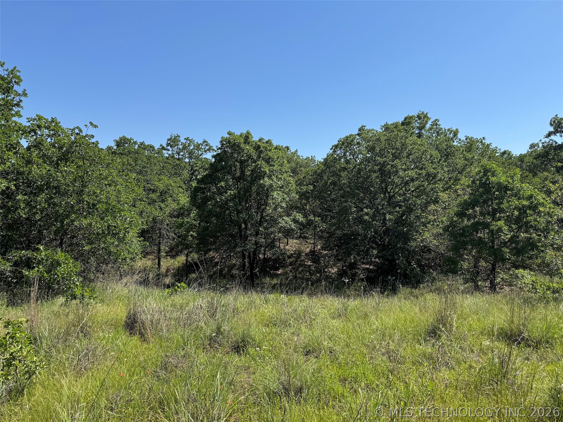 2664 Buck Horn Road Healdton OK 73438