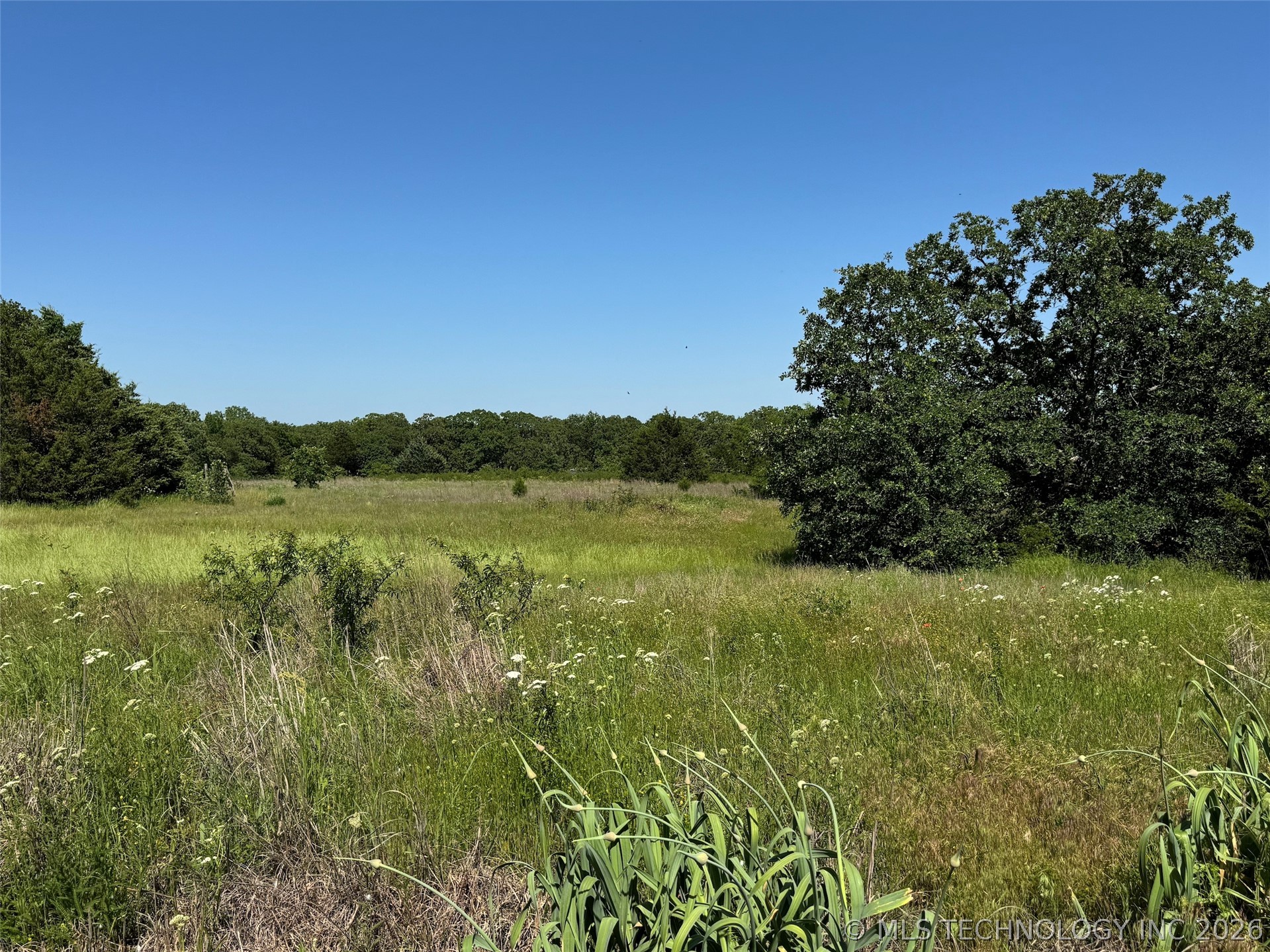2664 Buck Horn Road Healdton OK 73438