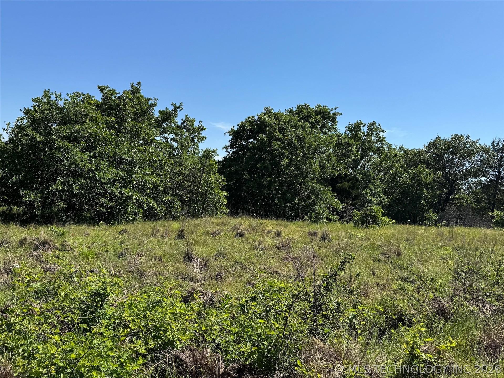 2664 Buck Horn Road Healdton OK 73438