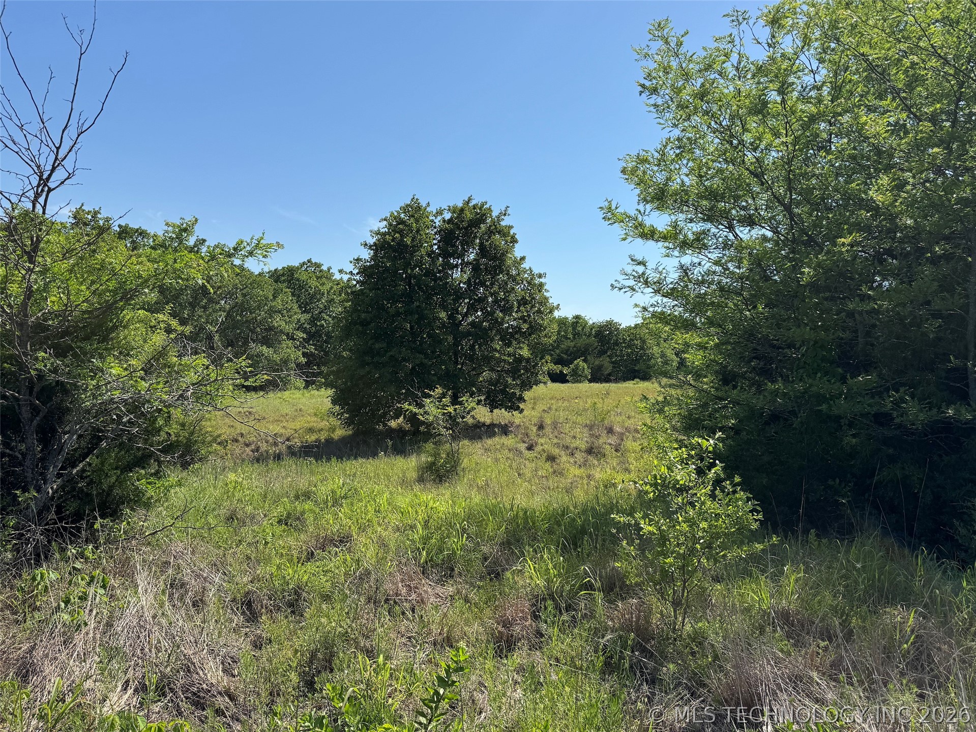 2664 Buck Horn Road Healdton OK 73438