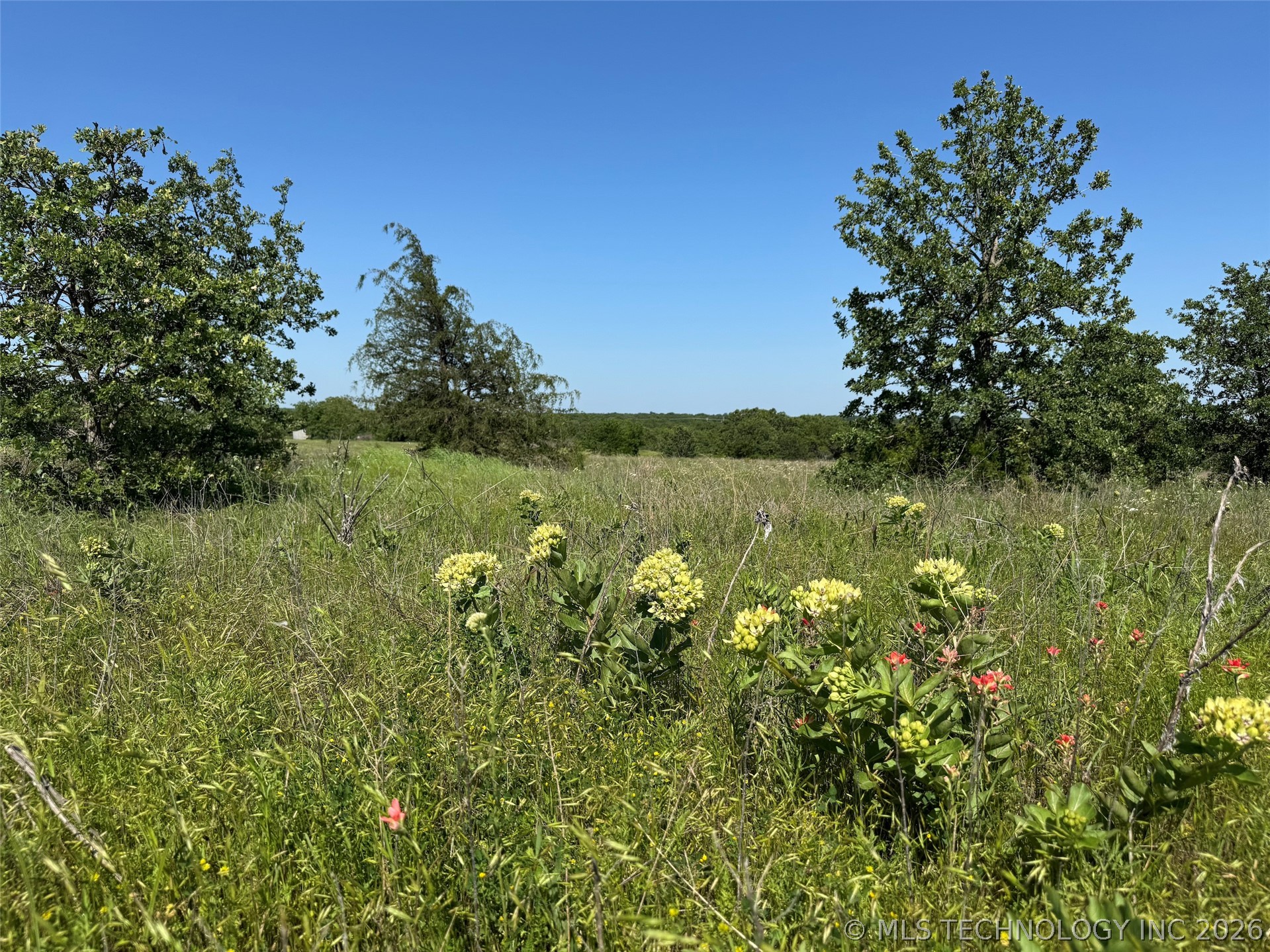 2664 Buck Horn Road Healdton OK 73438