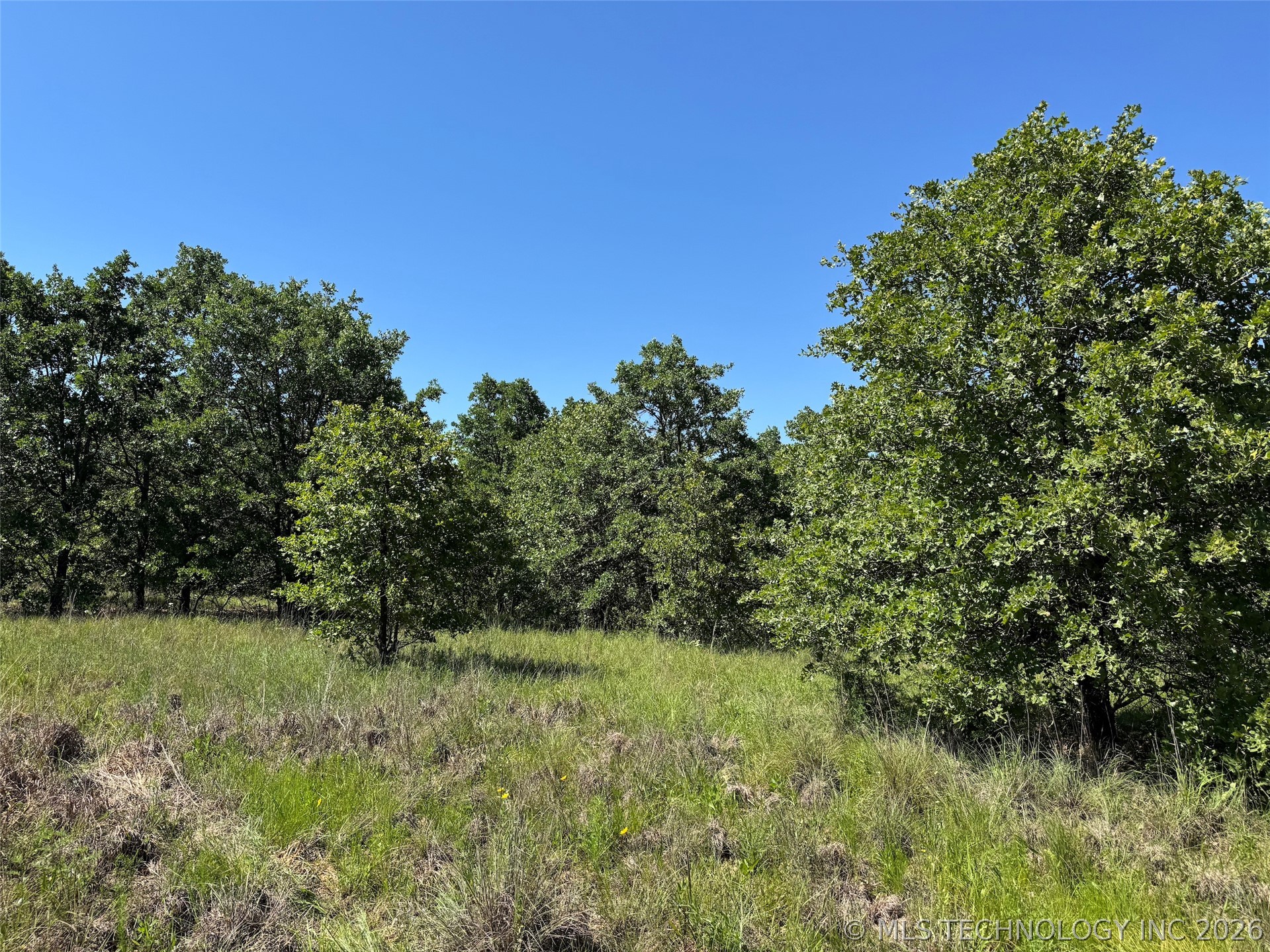 2664 Buck Horn Road Healdton OK 73438