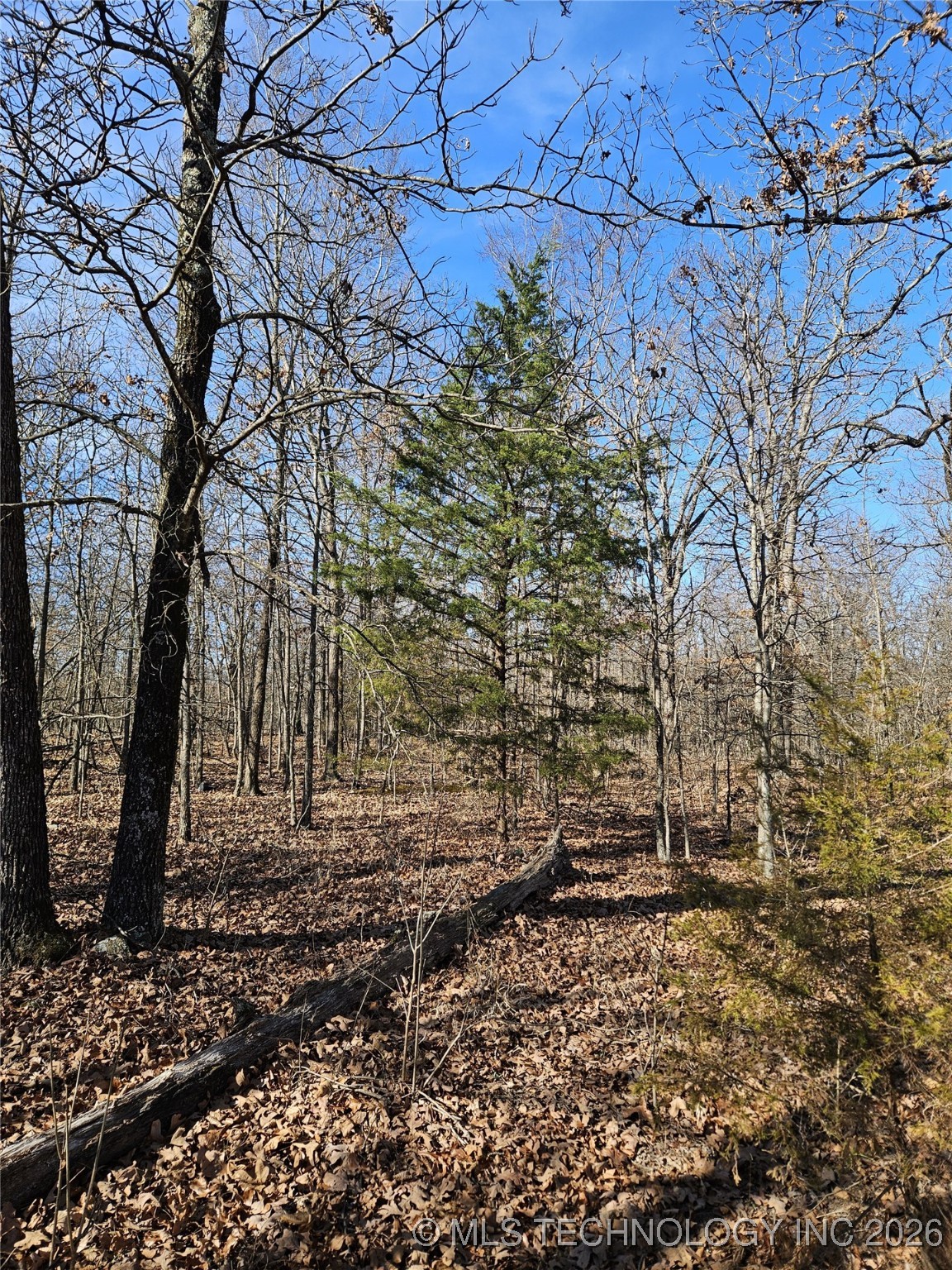 54601 E 233 Road Afton OK 74331