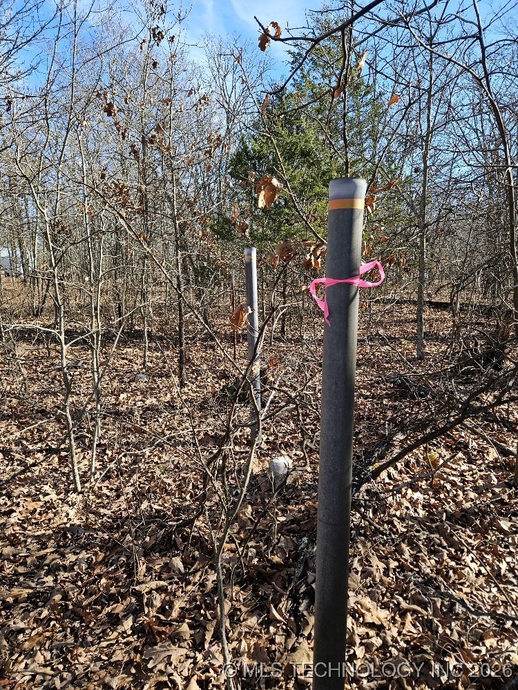 54601 E 233 Road Afton OK 74331