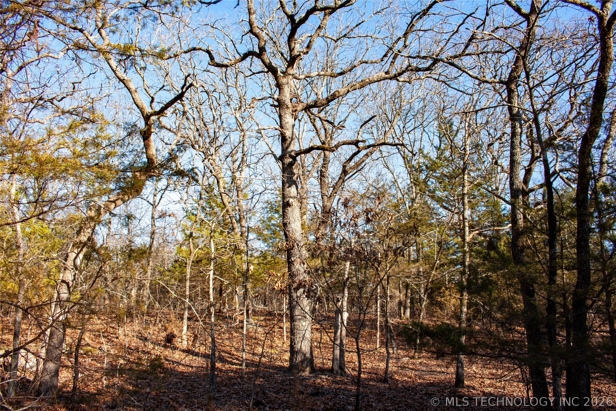 0000 Francis Road Byng OK 74820