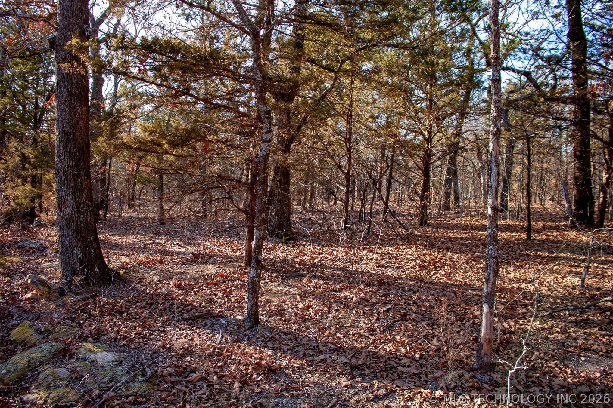 0000 Francis Road Byng OK 74820