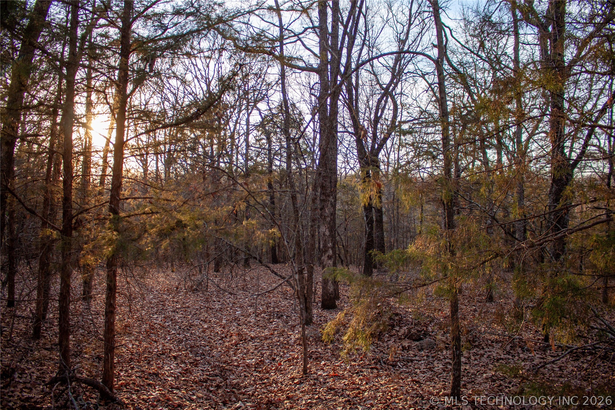 0000 Francis Road Byng OK 74820