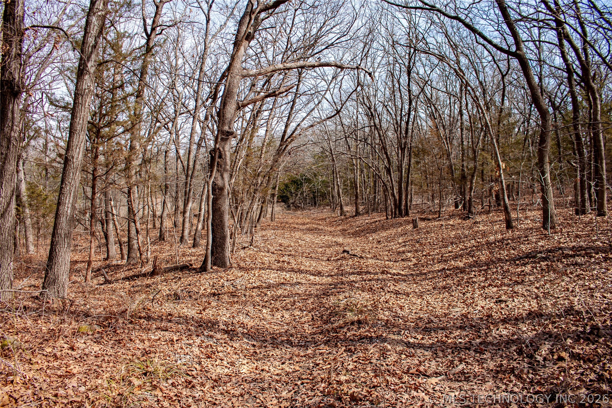 0000 Francis Road Byng OK 74820