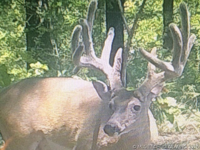 0000 Francis Road Byng OK 74820