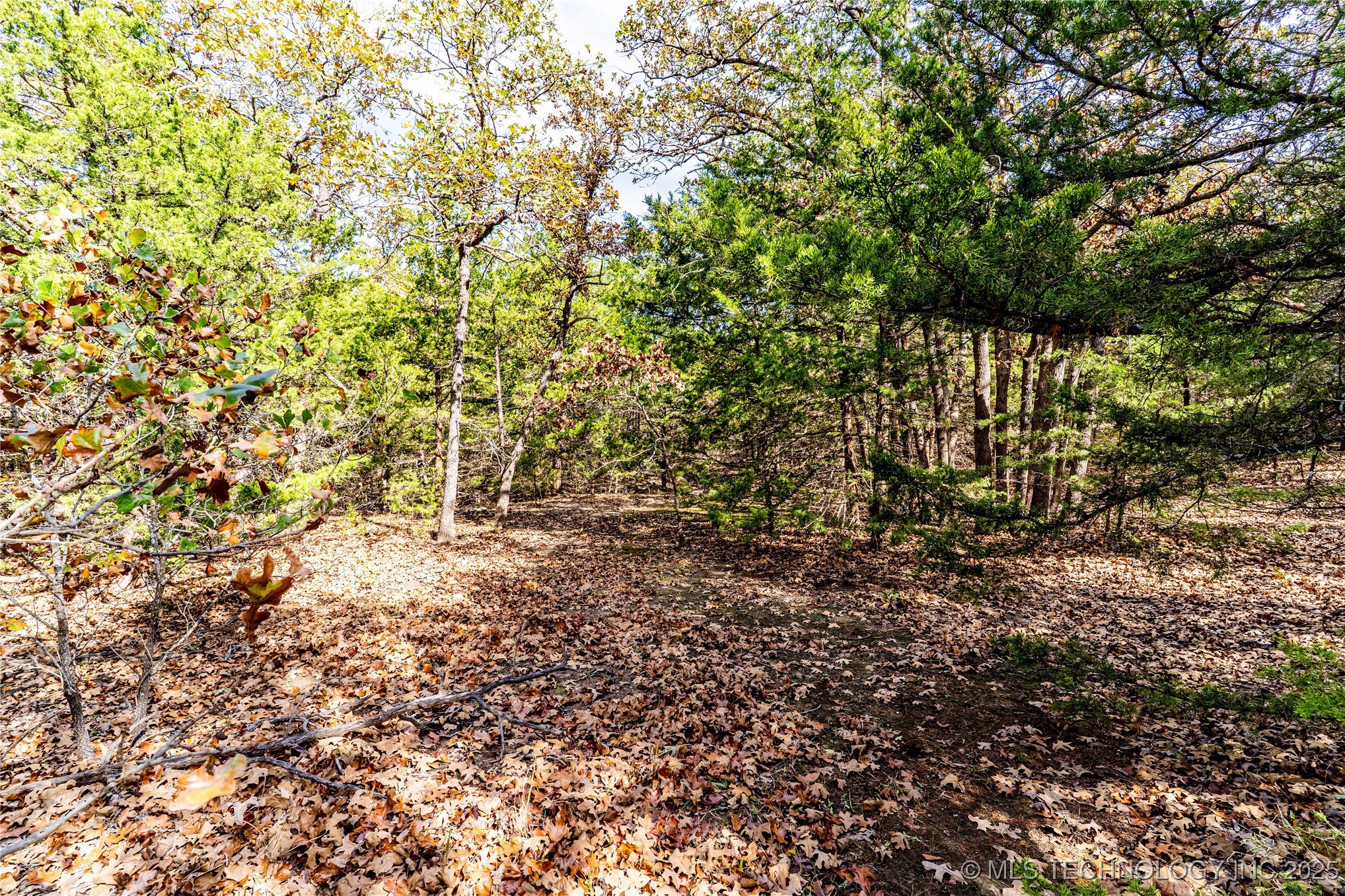 5518 W Coyote Trail Terlton OK 74081