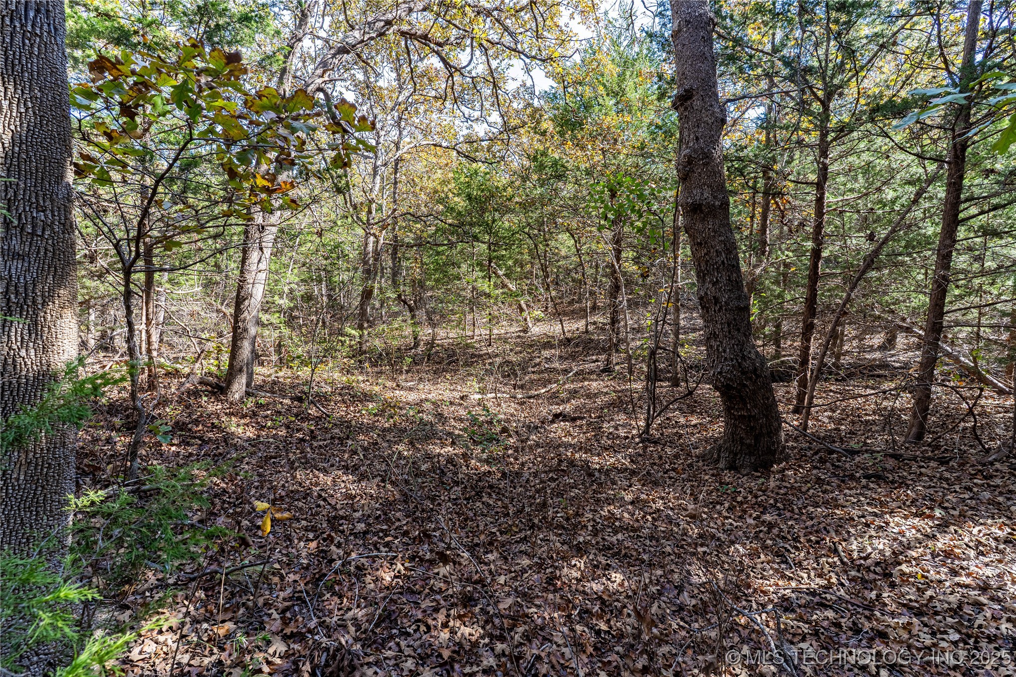 5518 W Coyote Trail Terlton OK 74081