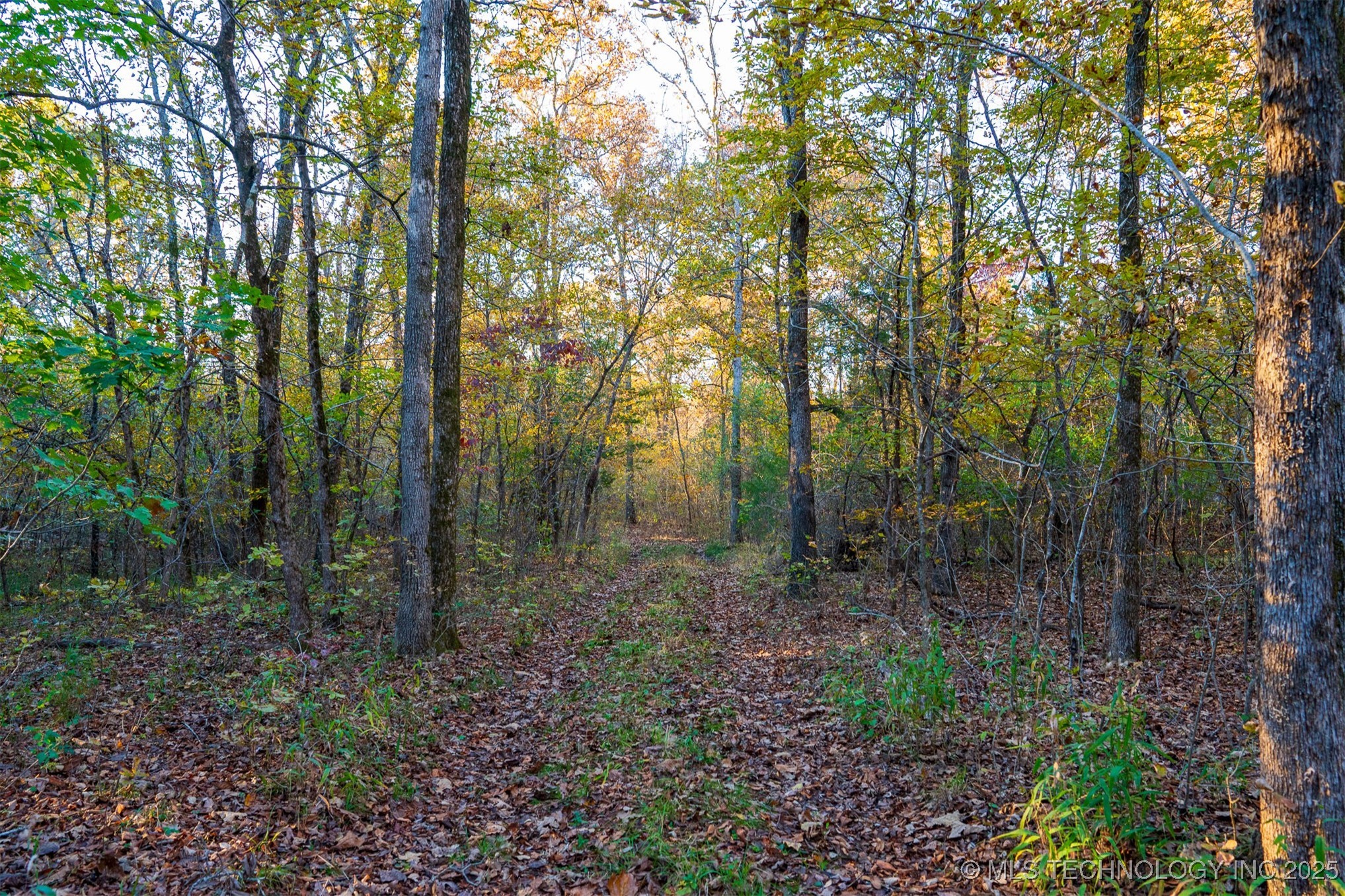 190 S 4523 Road Vian OK 74962