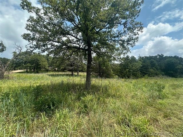 Alberta Creek Kingston OK 73439