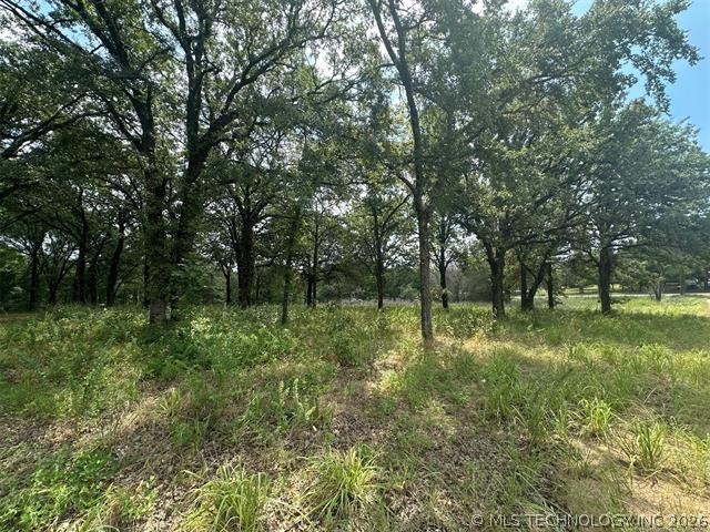 Alberta Creek Kingston OK 73439